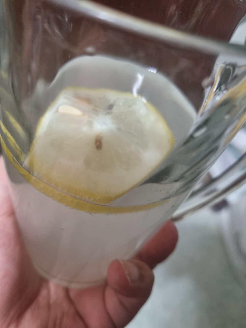 CU fresh lemon highball poured into glass with lemon slice