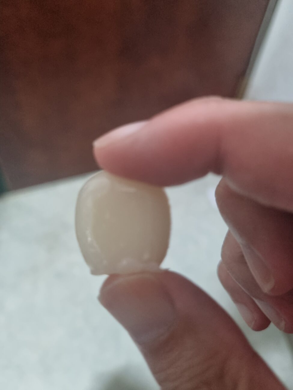 Cherish mangosteen jelly piece held in hand for size