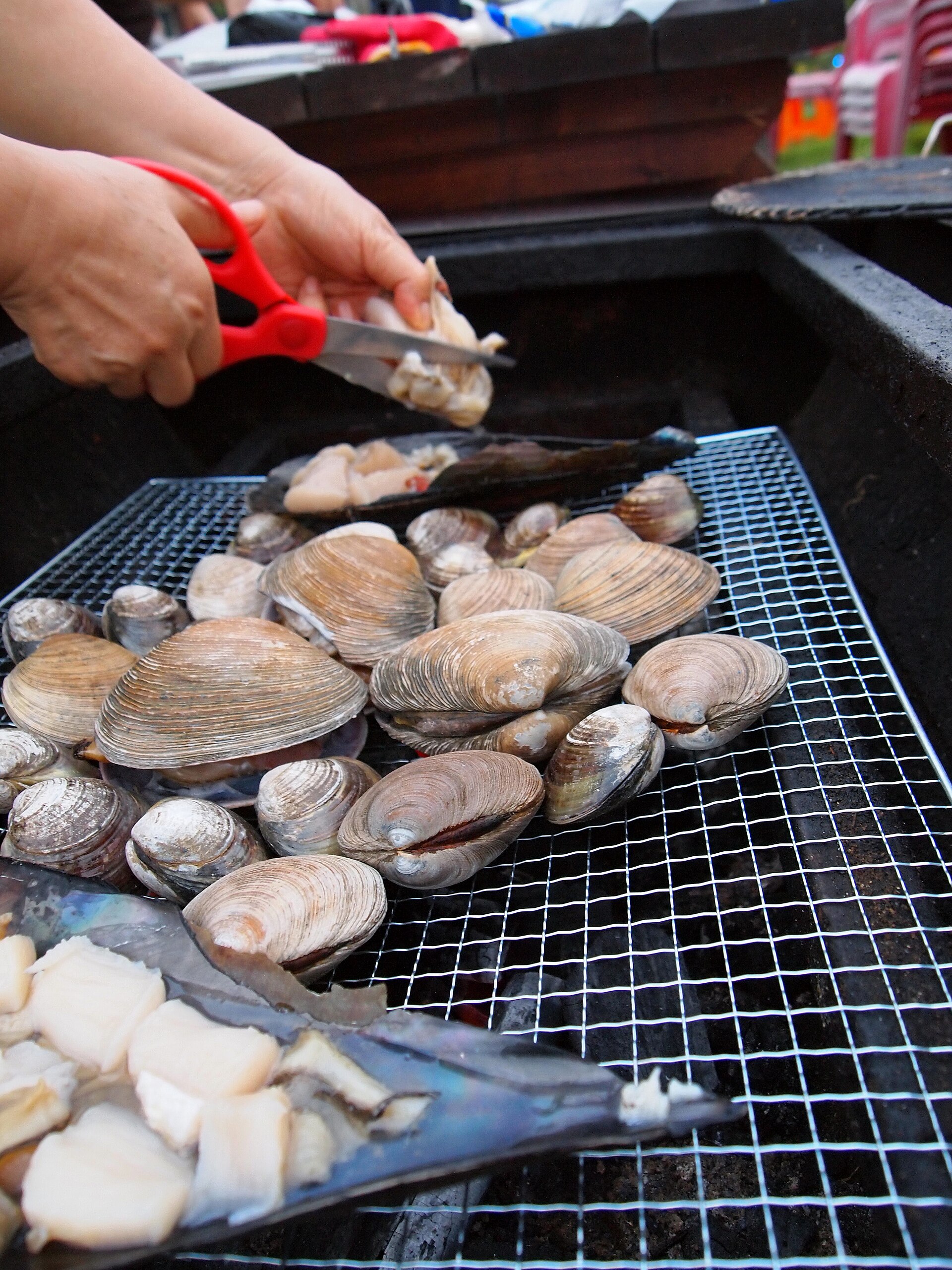 Assorted shellfish grilling over coals