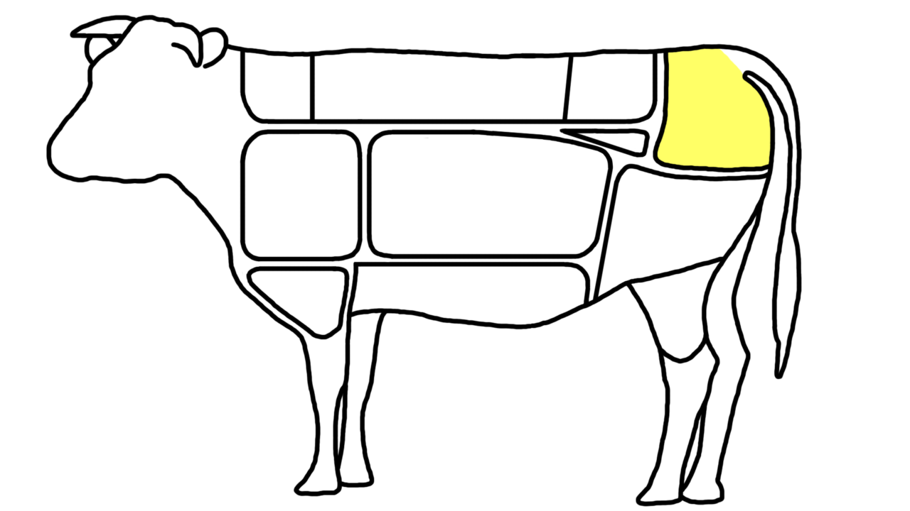 Diagram showing the rump area on a cow